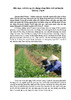 Diện mạo mới trong xây dựng nông thôn mới tại huyện Quảng Trạch.pdf.jpg