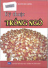 Kỹ thuật trồng ngô.pdf.jpg