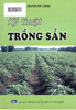 Kỹ thuật trồng sắn.pdf.jpg