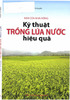 Kỹ thuật trồng lúa nước hiệu quả.pdf.jpg